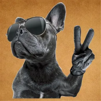 

ShinEquin Biker Patch deal with it Clothes Heat Transfer Printing Bulldog Victory Iron on patches for clothing Mask PVC Stickers