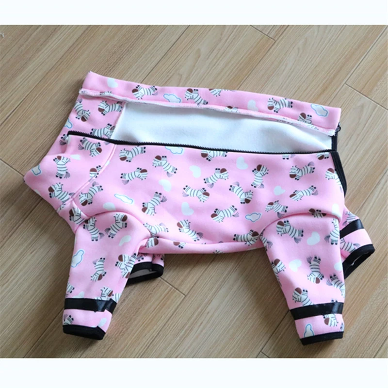 HTB1xuR_XizxK1RkSnaVq6xn9VXaK