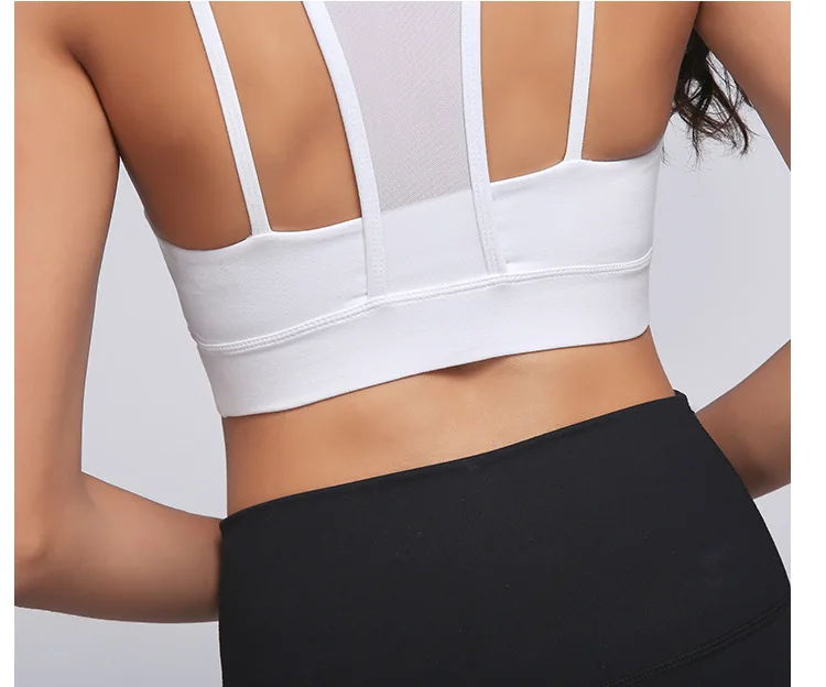 8362360305_1967754470