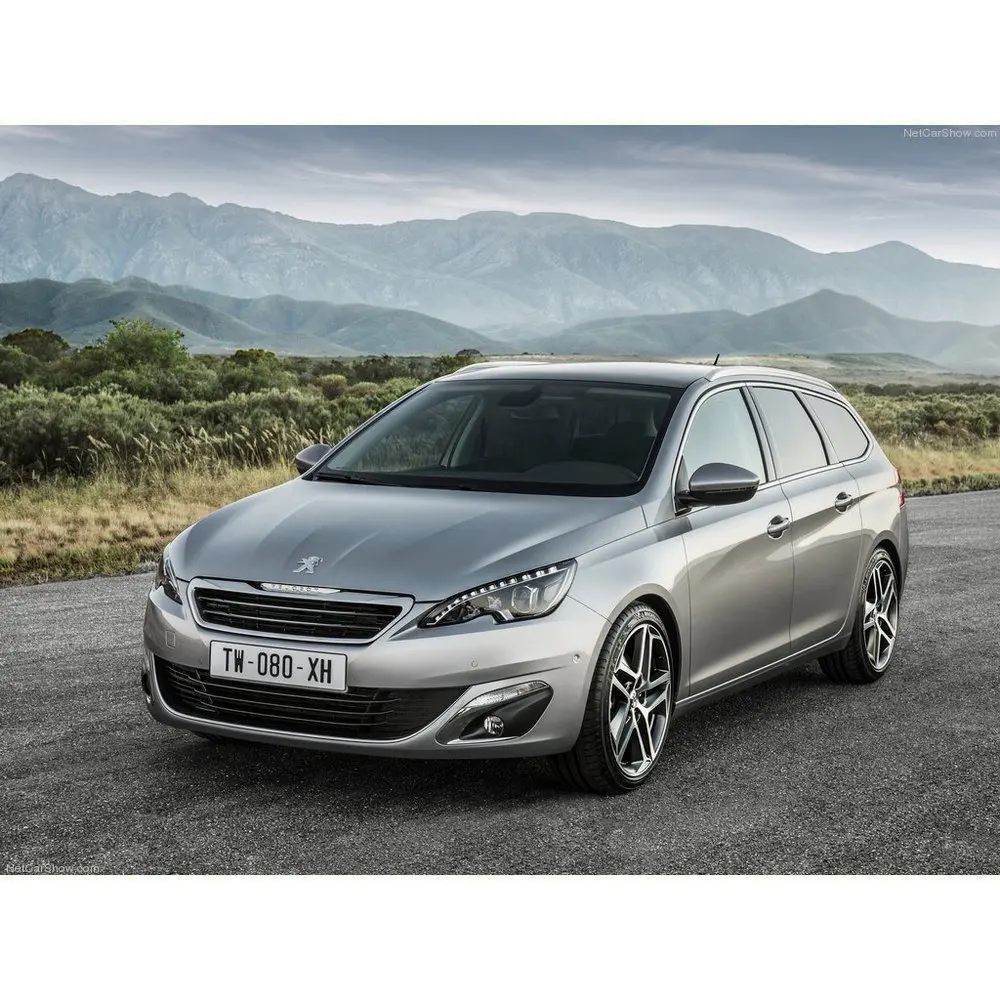 

Free Shipping 2Pcs/Lot car-styling Car Led Lamp Front and Rear light sources For Peugeot 308 SW II 2014+ (Europe)