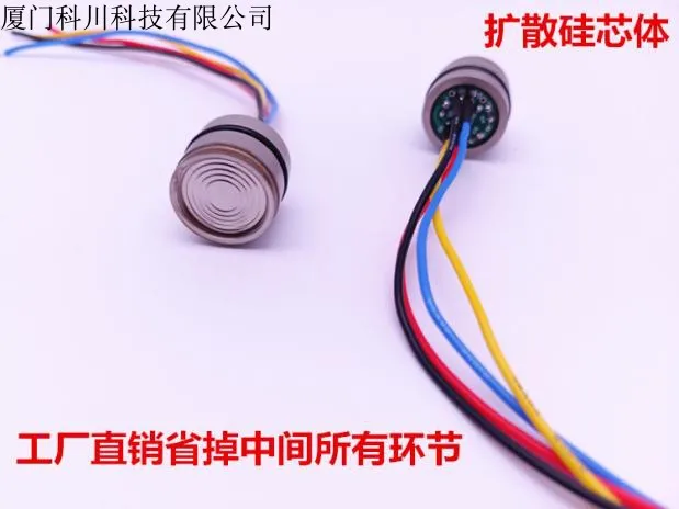 

Diffusion Silicon Core Pressure Sensor
