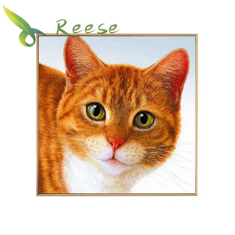 

New Needle Arts Craft Diy Full Round Diamond Mosaic House Pet Painting Cross Stitch Embroidery My Poor Little Kitty Modern Hobby