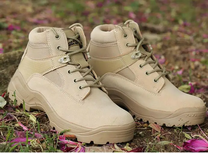 36020180316111359267