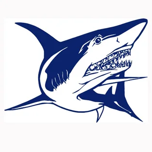 

Pegatina Shark Decal Angling Tackle Shop Hollow Sticker Fish Fishing Boat Car Window Vinyl Decal Funny Poster Motorcycle