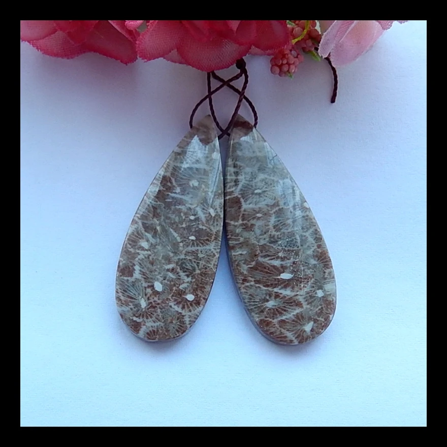 

Natural Gemstone Fossil Coral fashion woman Earrings,39x16x5mm,9.8g