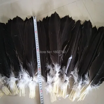 

Wholesale a set of (12pcs) complete eagle tail feathers 40-45 cm /16-18 inches for stage celebration feather decoration