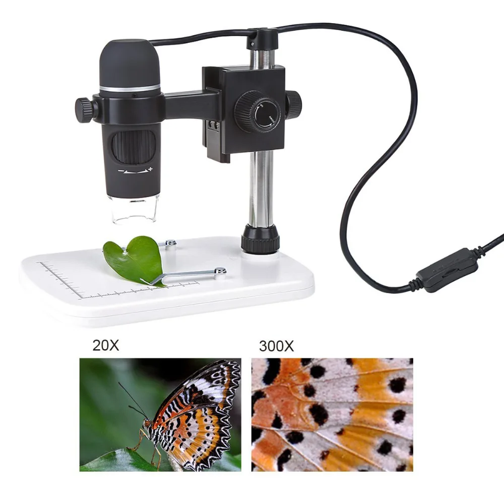 Microscope Microscope