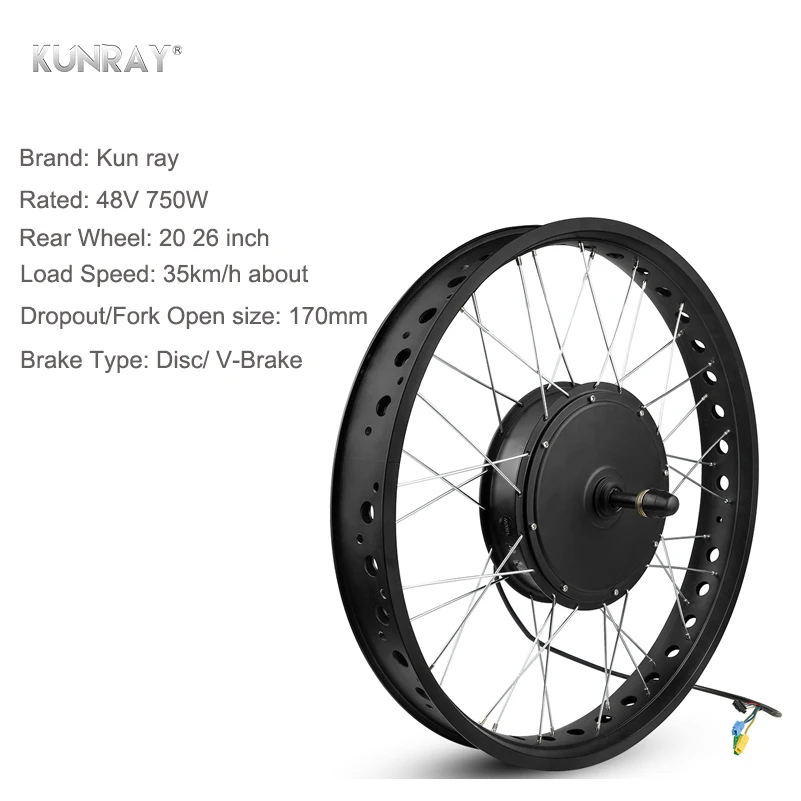 Top 48V 750W Electric Bike Rear Motor Wheel 20 26 inch 4.0 Rim Fat Bike Rear Snow Wheel LED LCD Brushless Controller Conversion Kit 3