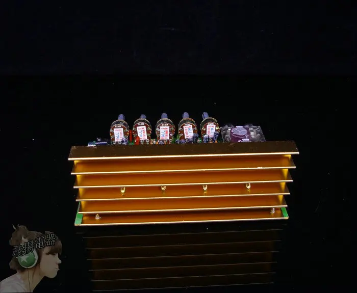 PT299 Reverberation Chip with Cara OK Microphone Input Fever Power Amplifier Board Sound Effect Super Strength