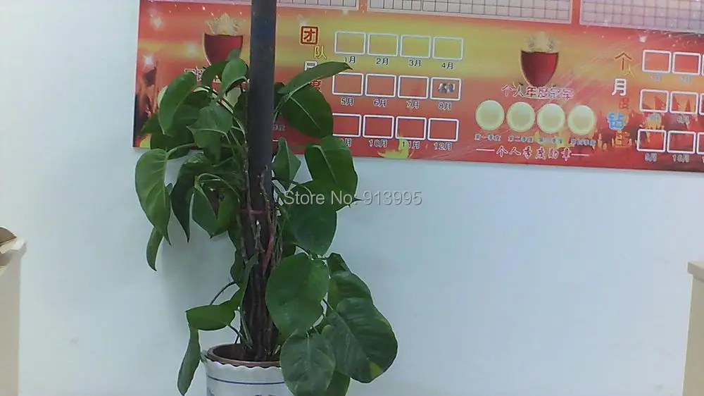 720p with 8mm lens at about 4m