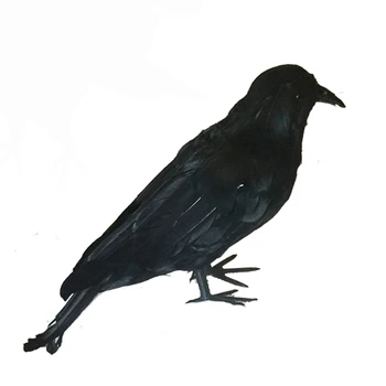 

Halloween Black Feather Crow for Indoor and Outdoor Halloween Decoration