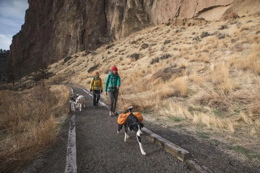 RUFFWEAR-Knot-a-Leash, светоотражающий собачий поводок с надежным фиксирующим карабином S/L