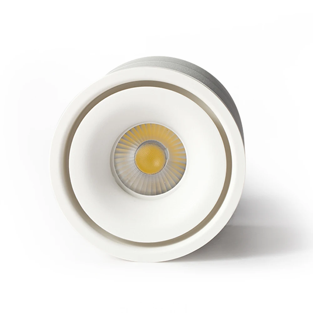 Surface downlights  (10)