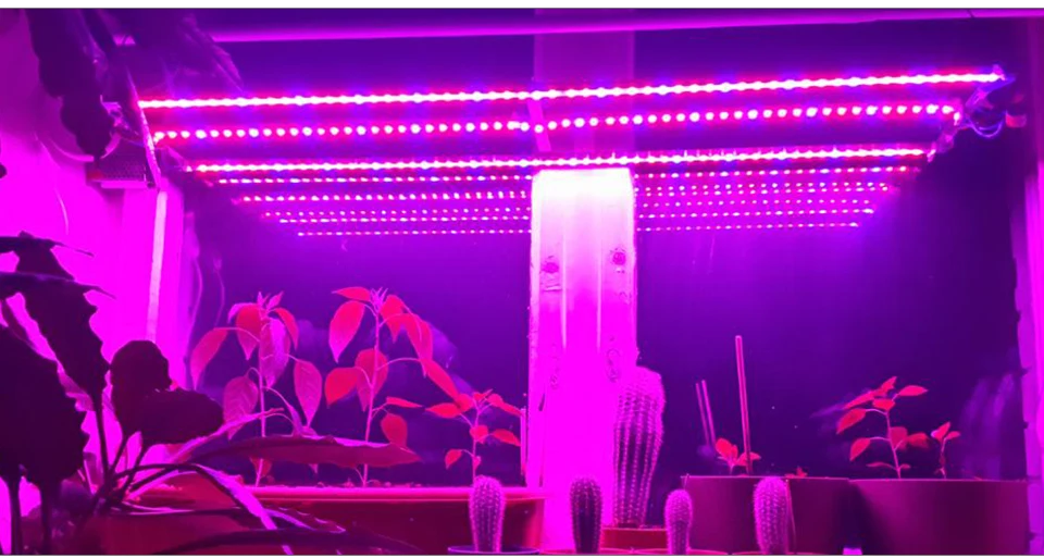 led grow light (13)
