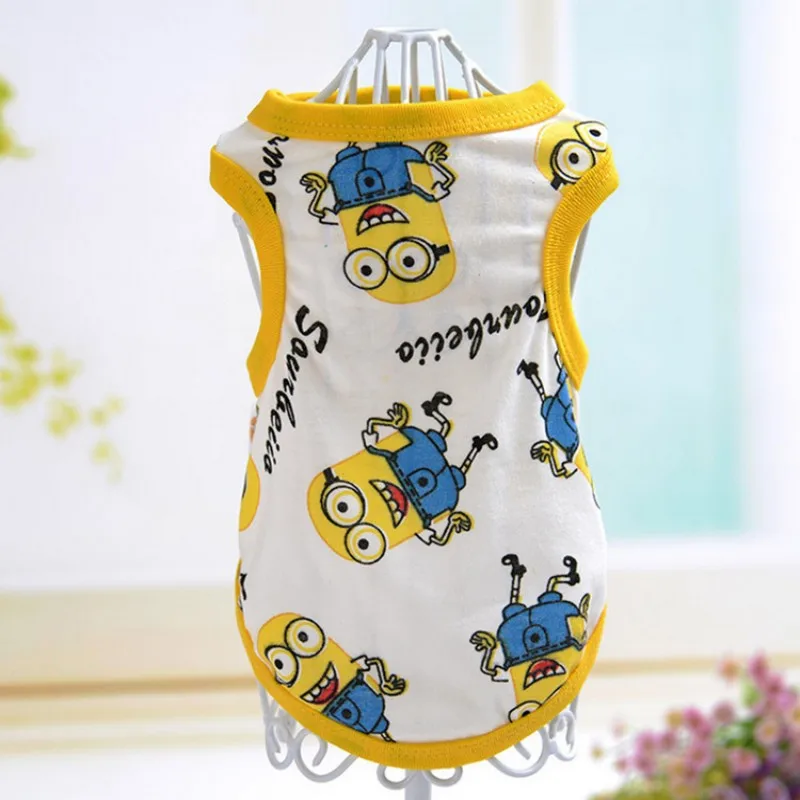 conew_4050364960_174163100