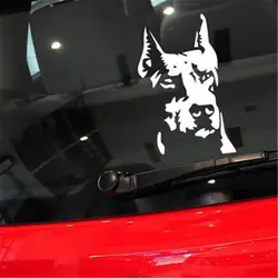 Автомобильный Стайлинг Автомобильная виниловая Черный кот мотоцикл водостойкая забавная собака Хаунд Доберман Пинчер светоотражающие