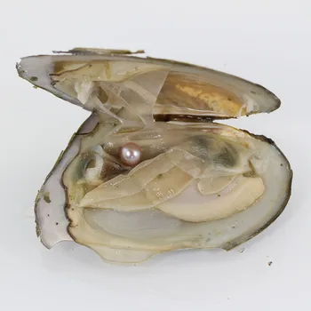 

Big Akoya Oyster Round Pearl 20pcs Pearls 2018 Wholesale Vacuum Packed Cultured Oyster Pearl Farm Supply Natural Lavender AR011