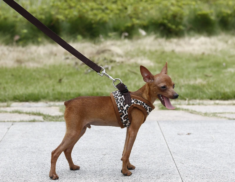 Leopard Dog Harness For Small Dogs Nylon Chihuahua Yorkie Vest Harness Puppy Pet Cat Walking Harness Without Leash Pet Products