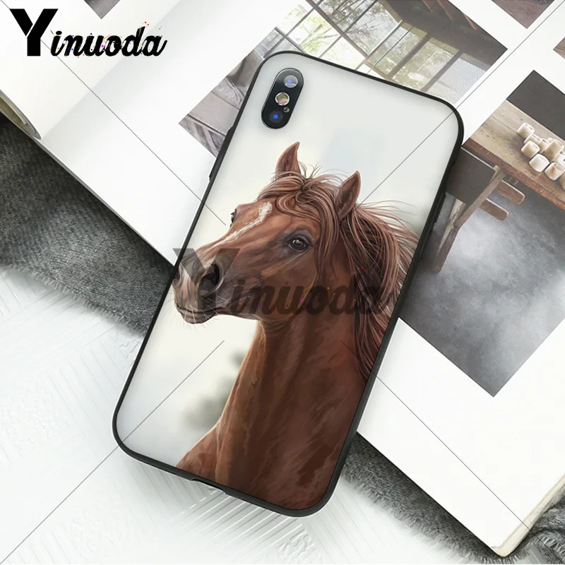 andalusian horse