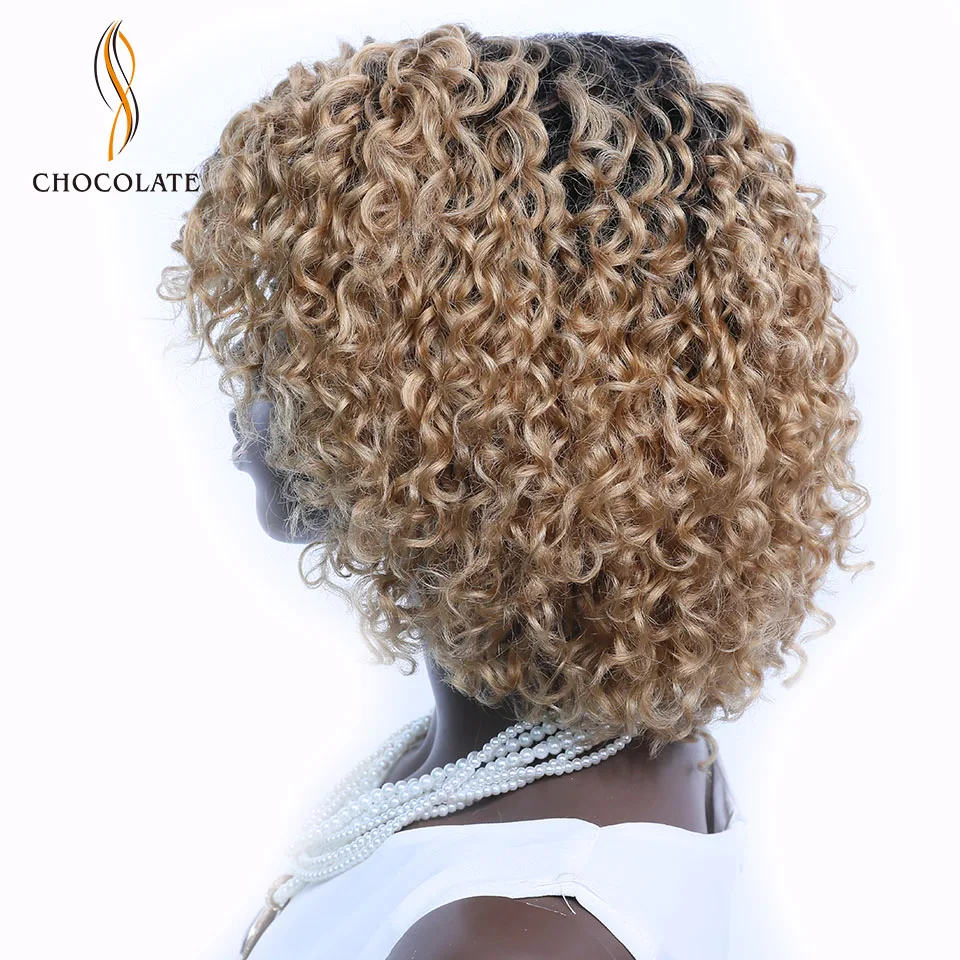 CHOCOLATE Remy Human Hair Wigs Brazilian Curly Lace Front Wigs Hand Made 12inches Side Part Ombre Red Color Lace Wigs for Women