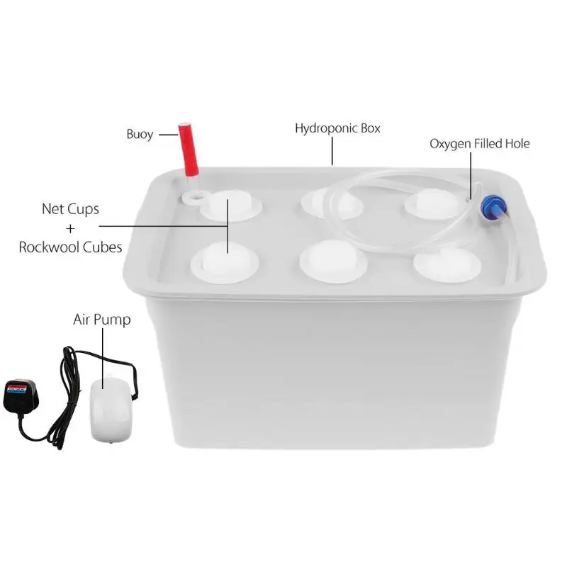 6 отверстий выращивание рост рассады комплект коробка для посадки 220 В/110 в сайт растений гидропоники системы питомники горшки Великобритания/США вилка Прямая поставка