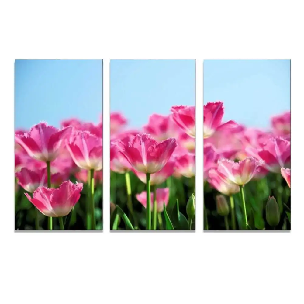 

Framed Modern Painting Picture Prints on Canvas Wall art for Home Office Room Decoration Gift Stretched Ready to Hang