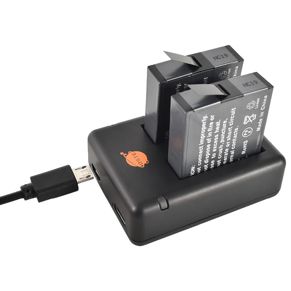 

DSTE 2PCS IS360XB Battery with Dual USB Port charger for Insta360 ONE X Camera