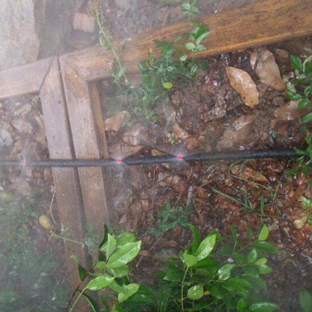 HTB1rrGvXyDxK1Rjy1zcq6yGeXXaX