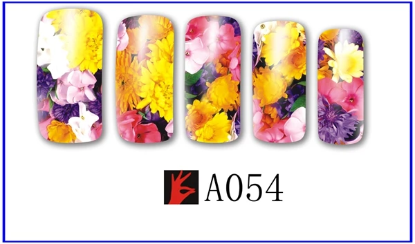 A054