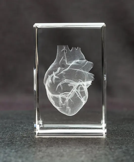 human heart skeleton anatomical Crystal Skull Figure Statue in trauma