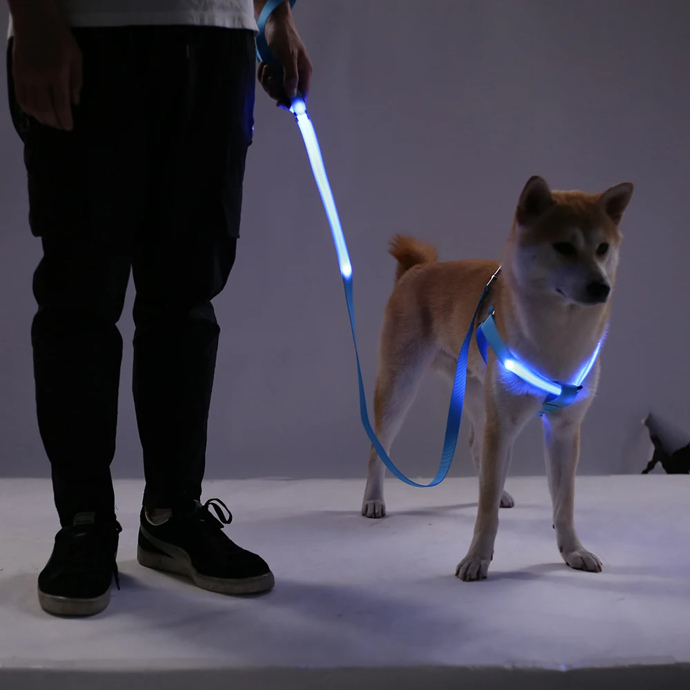 a2732879-d0a4-4f40-9eff-f15f36d61228