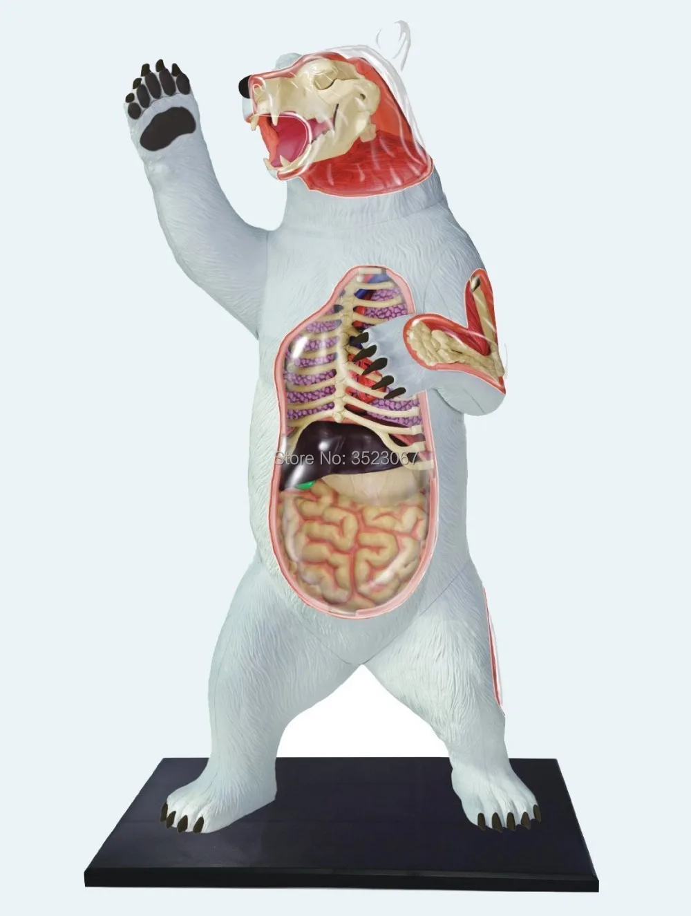 HTB1OJGsIFXXXXc2aXXXq6xXFXXXl