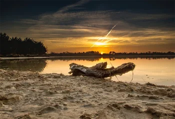 

Laeacco Dusk Lakeside Wood Tree Sunset Scenic Photographic Backgrounds Customized Photography Backdrops For Photo Studio