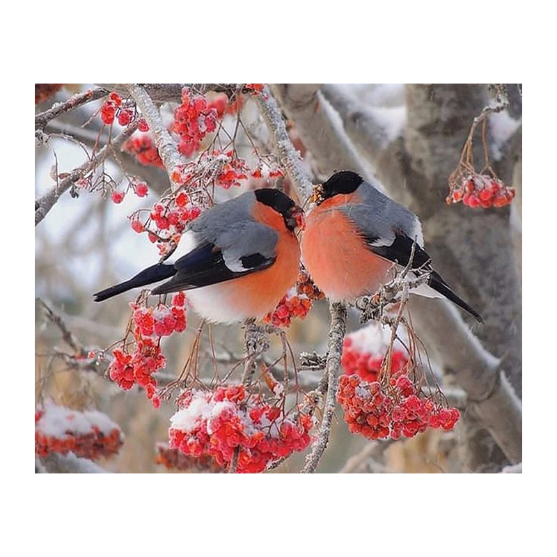 3D Diamond Painting Cross Stitch Two Birds On Tree Crystal Needlework Diamond Embroidery Animals Full Diamond Decorative 