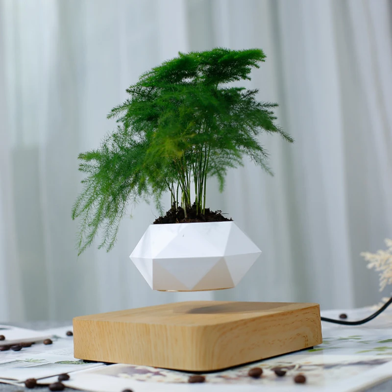

Magnetic Levitating Suspension Flower pot Planters Air Floating Pot Potted levitation plant pot bonsai Home wedding decoration