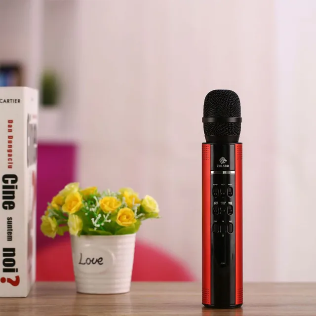 speaker dan mic portable