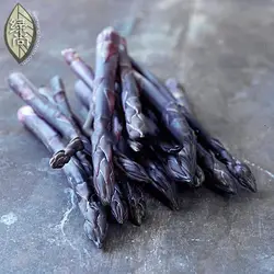 Спаржа бонсай Grand Asparagus Vegetable King Atlas оригинальная импортная термостойкая овощная бонсай Buck 5 шт