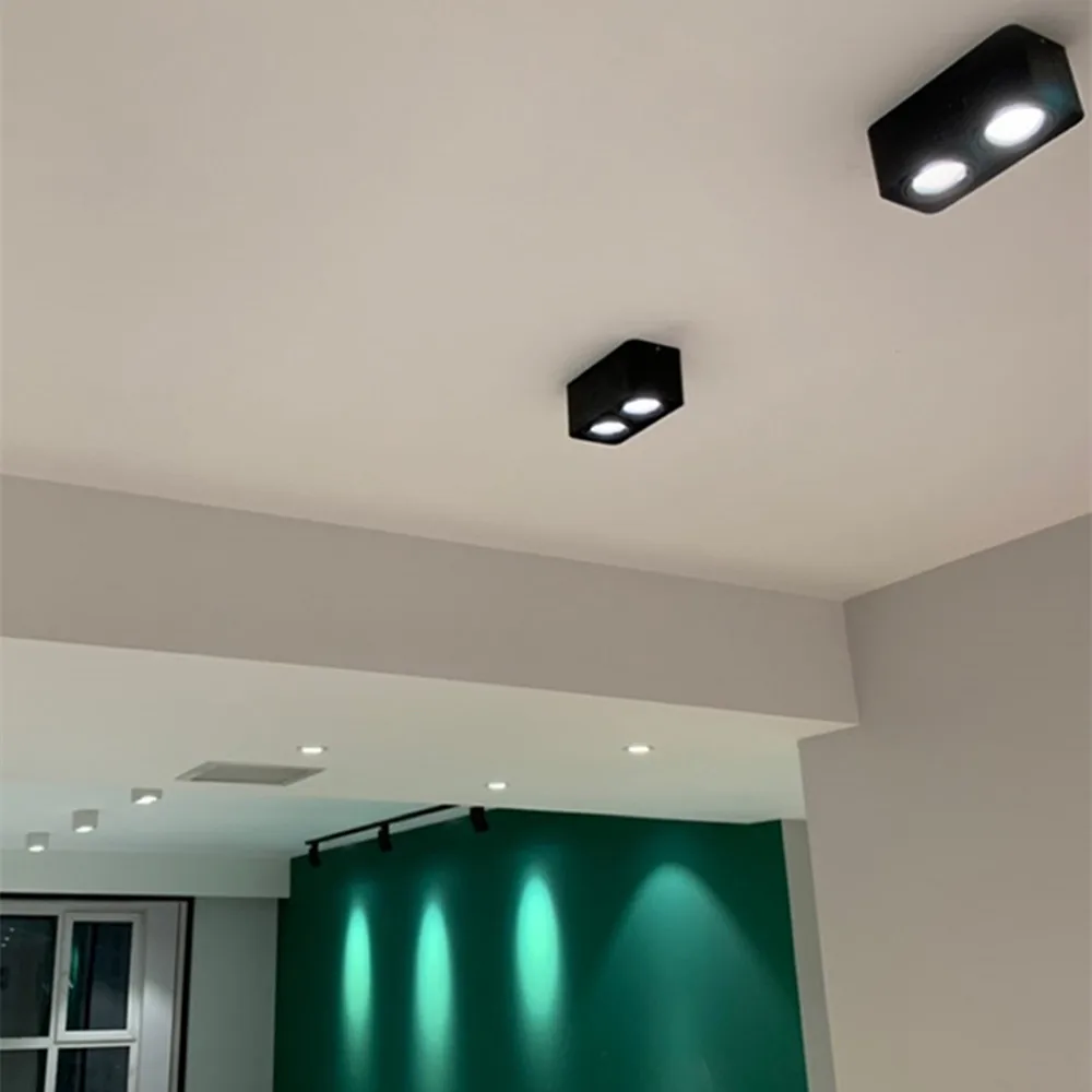 LED Surface downlight (25)