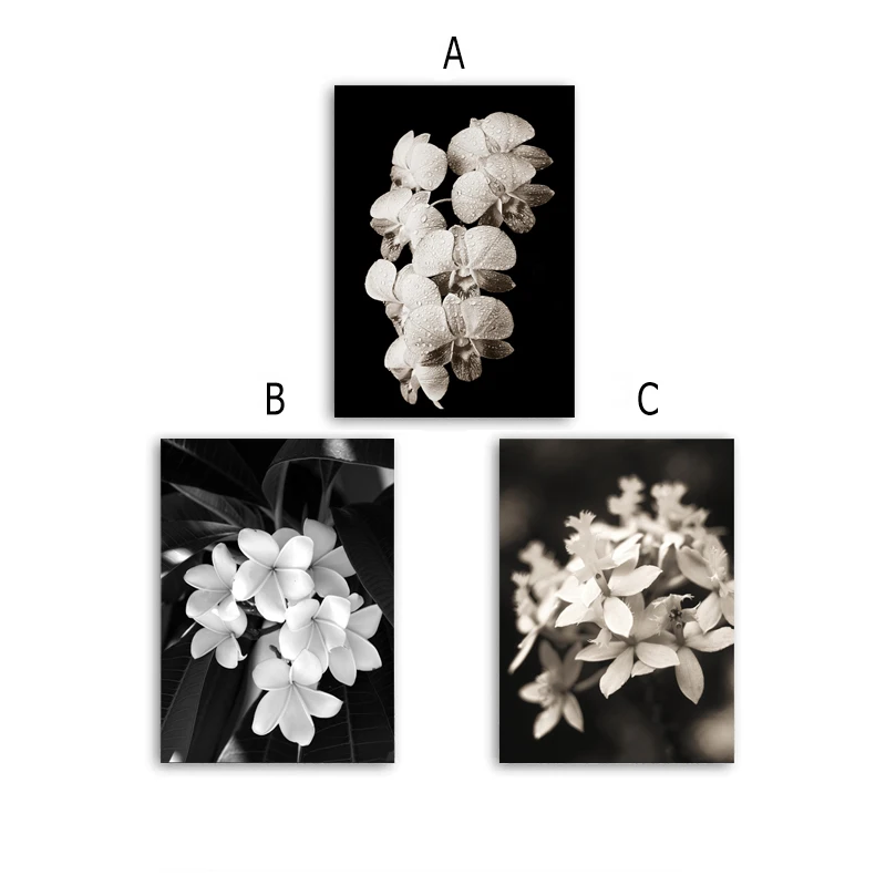 Скандинавские освежающие минималистичные картины на холсте с черными и белыми цветами, печатные плакаты с лилиями, настенные художественные картины, домашний декор для спальни