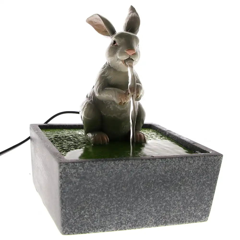 rabbit water fountain