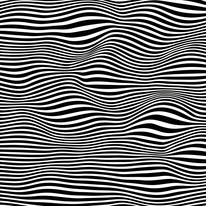 

Laeacco Black White Zebra Stripes Portrait Photography Backgrounds Customized Photographic Backdrops For Photo Studio