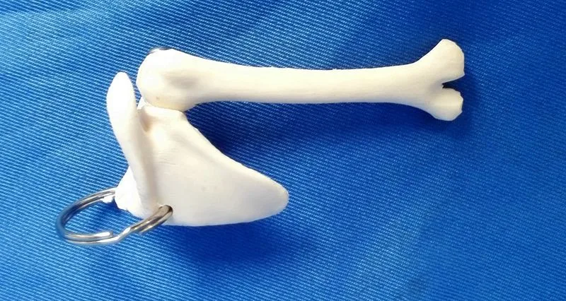 

Брелок на плечо человека, аксессуары, Бесплатная доставка