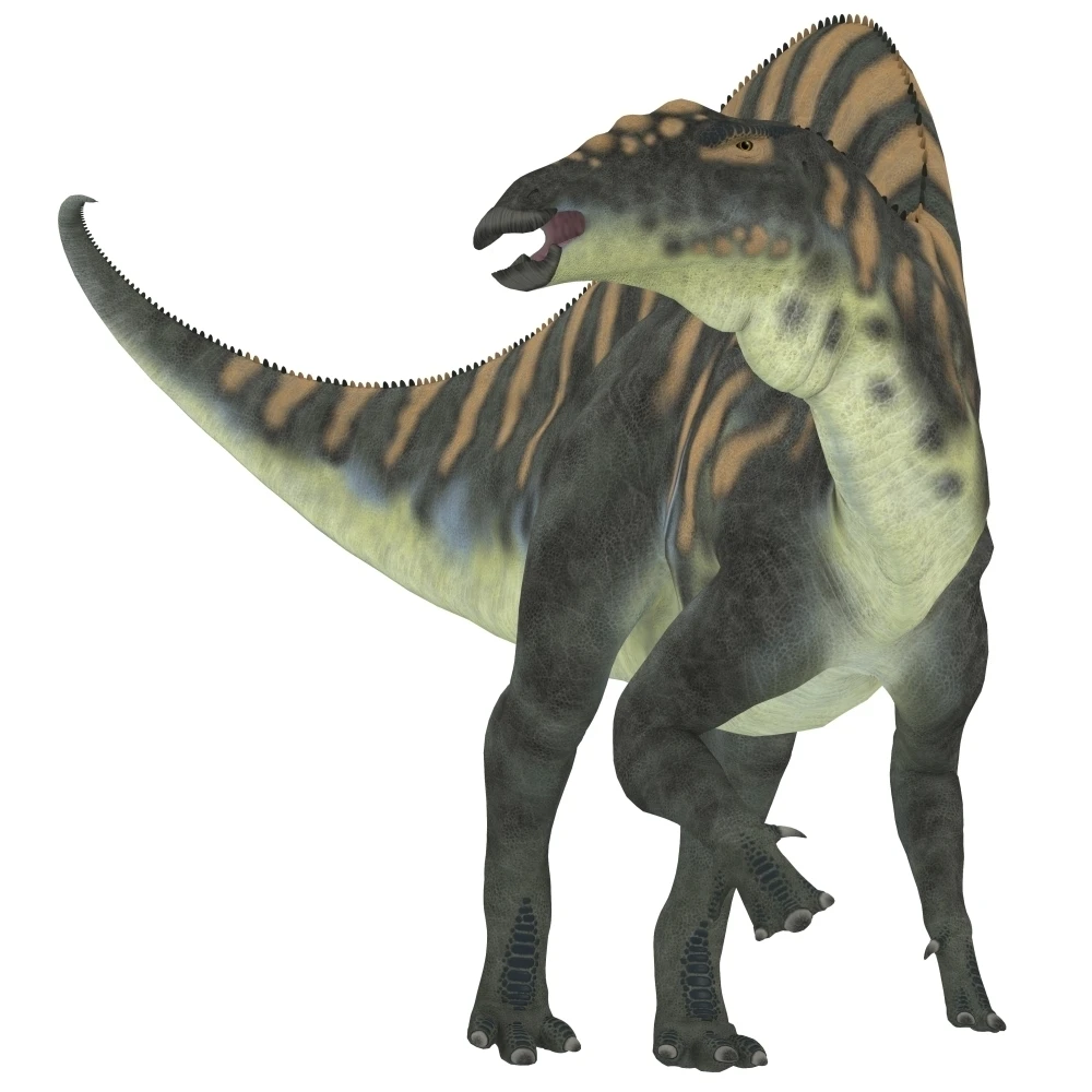 Ouranosaurus dinosaur  white background Poster Print (28 x 28)