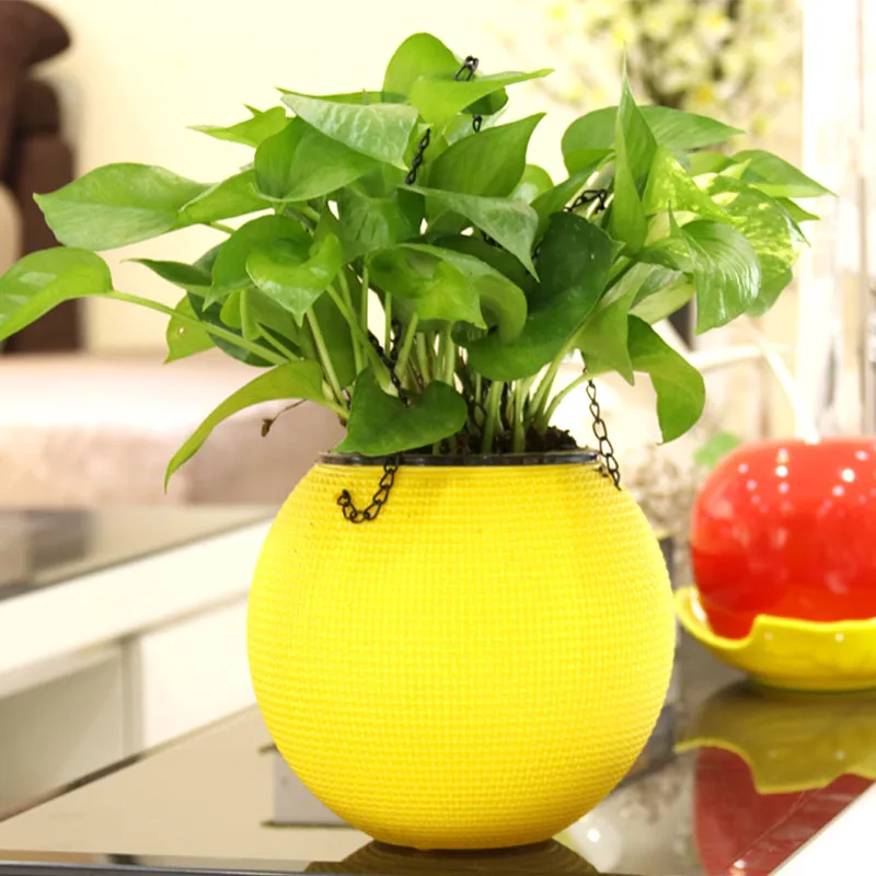 

Free Shipping Plastic Small universe hanging basin spherical hook hanging self - absorbing creative flower pots for home garden