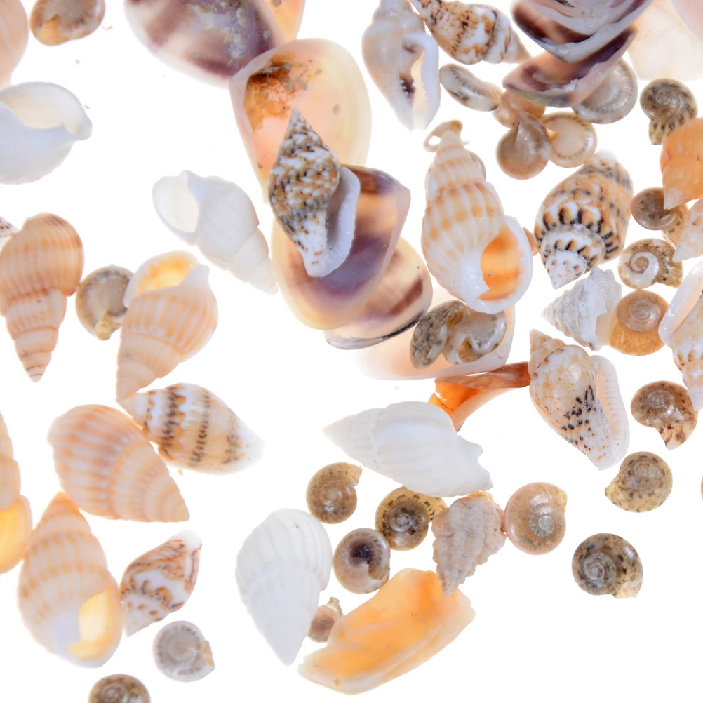 1 pack Miniature Sea Shell 1 12 Toy Dollhouse Bonsai Landscape DIY Beach Decor