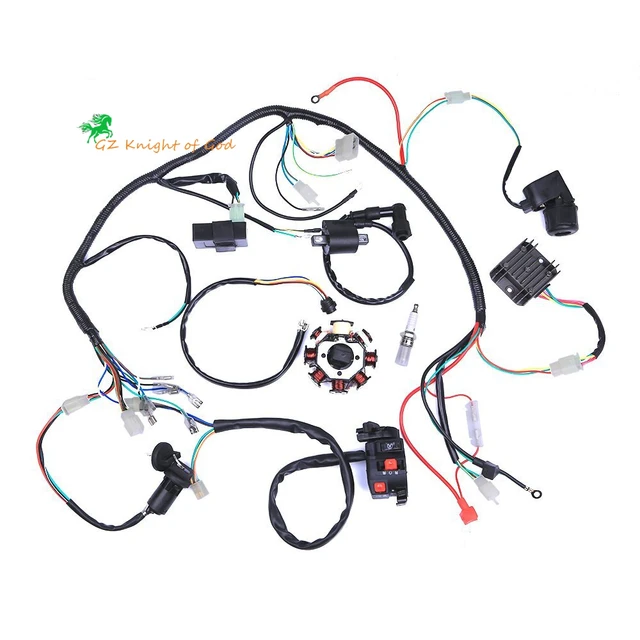 Complete Electrics Coil CDI Stator Wiring Harness for 4 Stroke