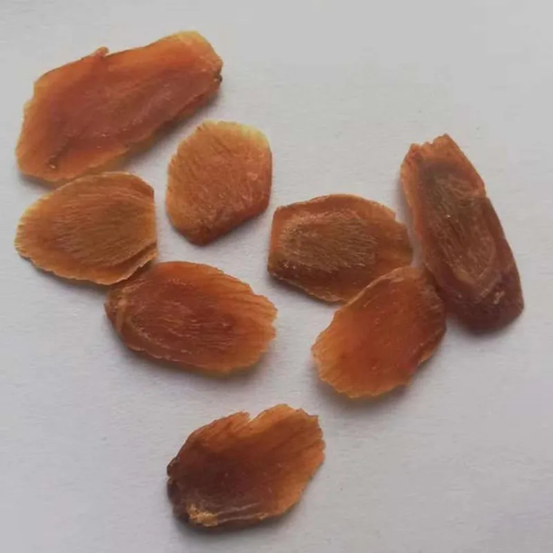  HIGHT Quality korean red ginseng Red ginseng tablet Red ginseng slice Sugar free Good quality