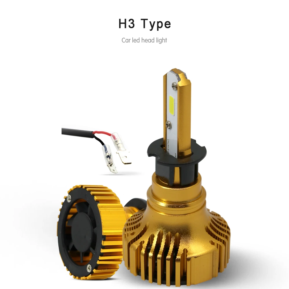 H3