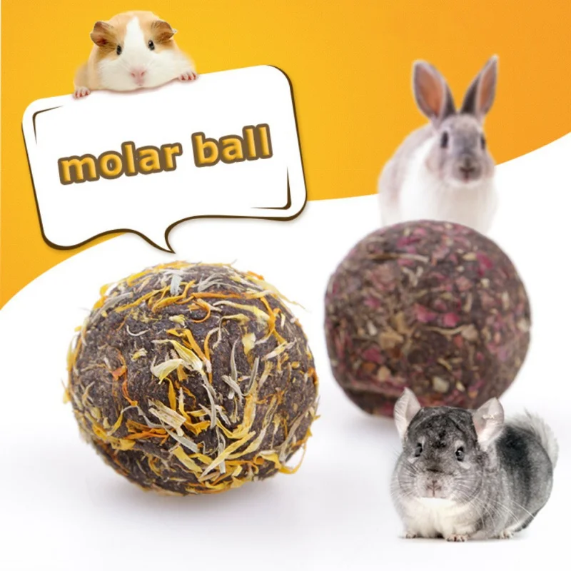 2018 Hewan Peliharaan Makan Bunga Bola Hamster Gigi Geraham Bola