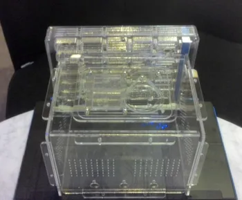 

New 190*134MM Acryl Ant Nest Granja de hormigas Nid Fourmis Insestos Cages Ant Farm Ant Castle Biological Observation Device X